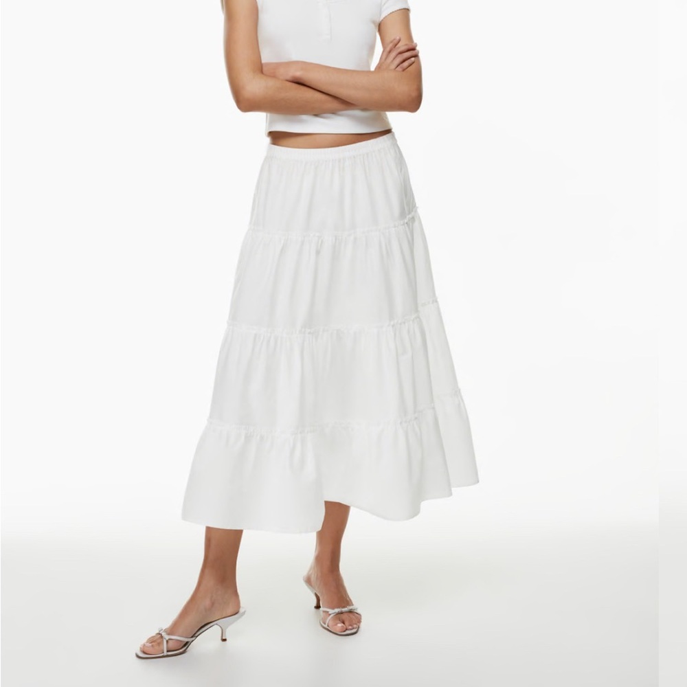 Aritzia Mars Skirt